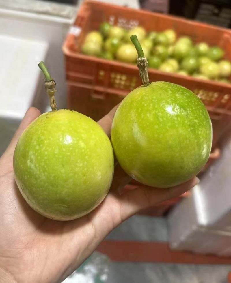 钦蜜9号黄金百香果