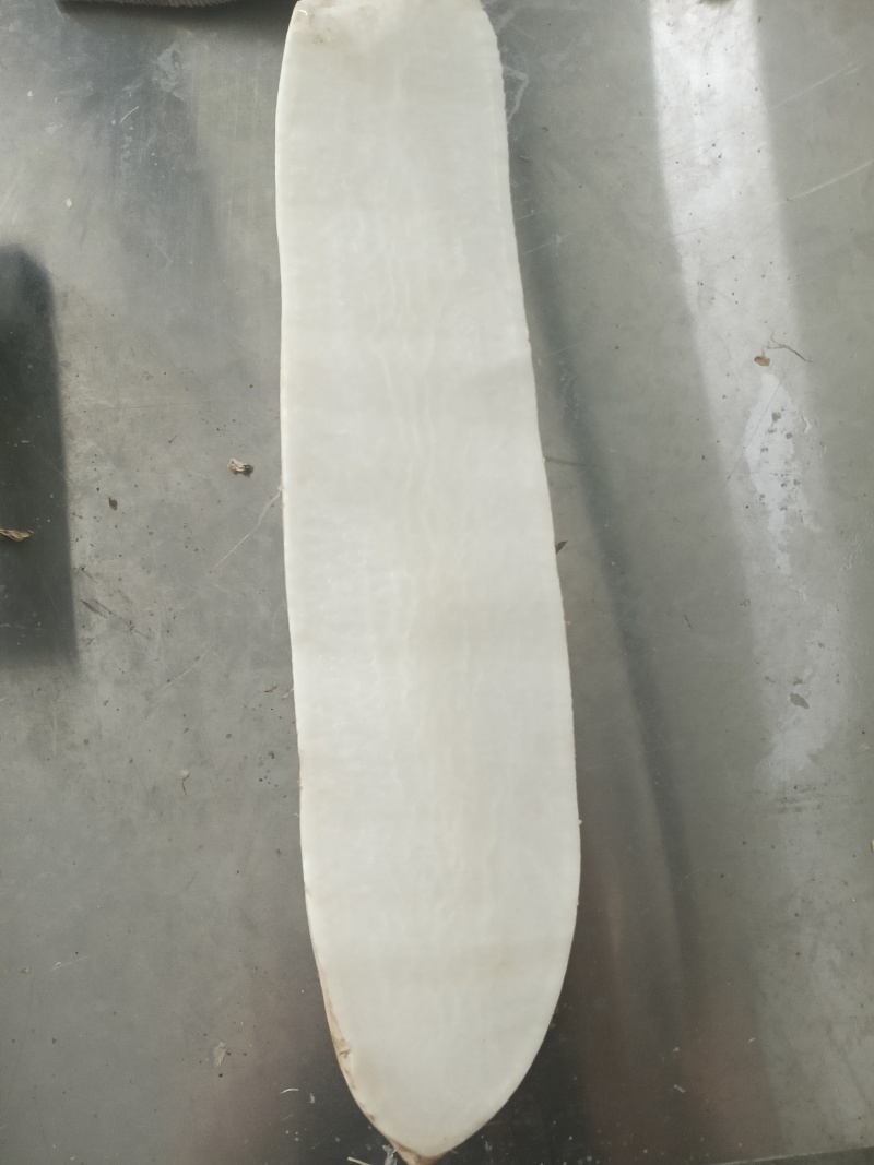加工厂白萝卜，通货，大量现货