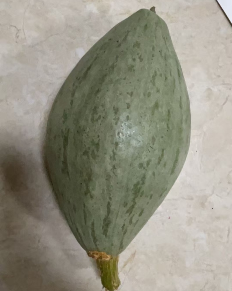 台湾橄榄蜜南瓜