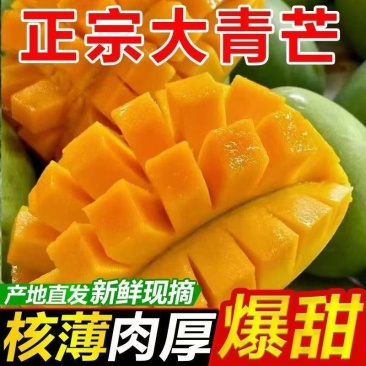 广西百色芒果🥭