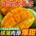 广西百色芒果🥭