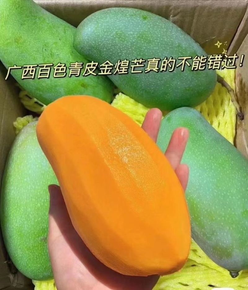 广西百色芒果🥭