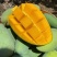 广西百色芒果🥭