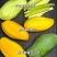 广西百色芒果🥭