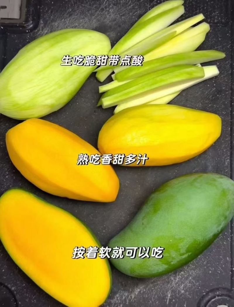 广西百色芒果🥭