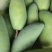 广西百色芒果🥭
