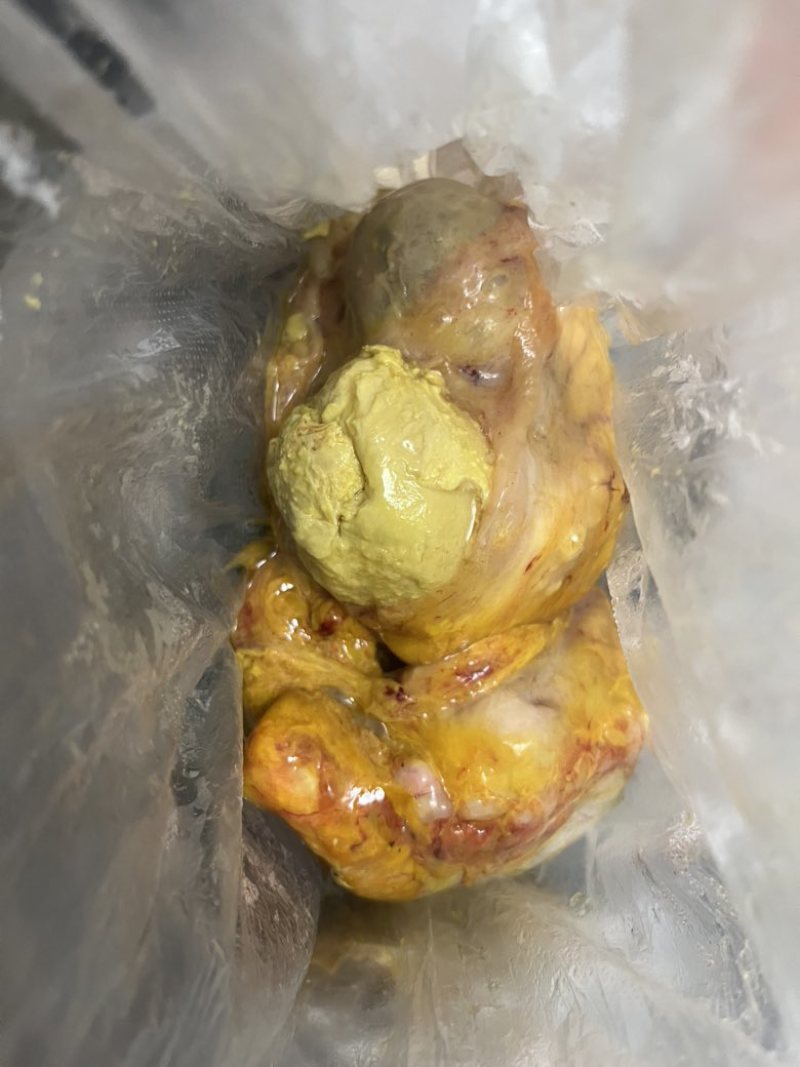 鸡黄（鸡宝）