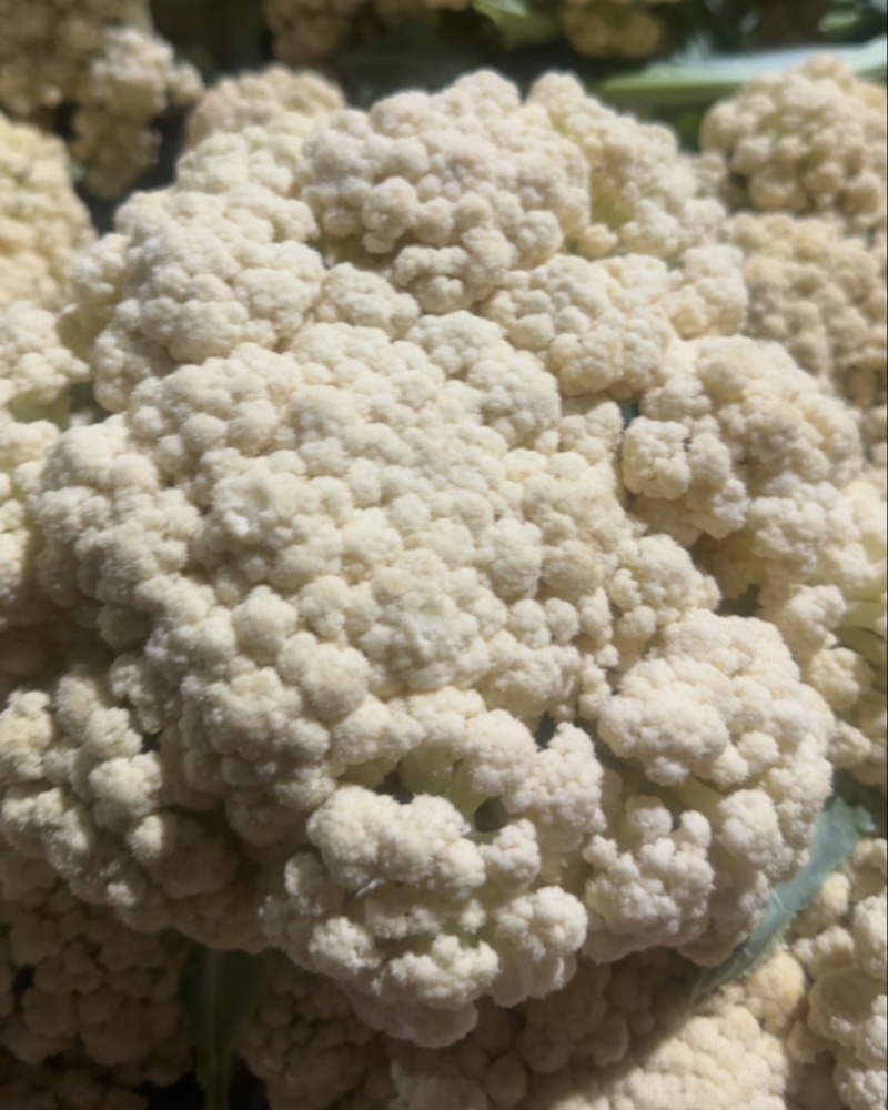 散菜花