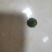 构树果