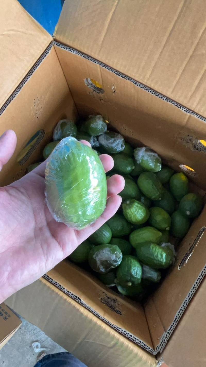 广东香水柠檬
