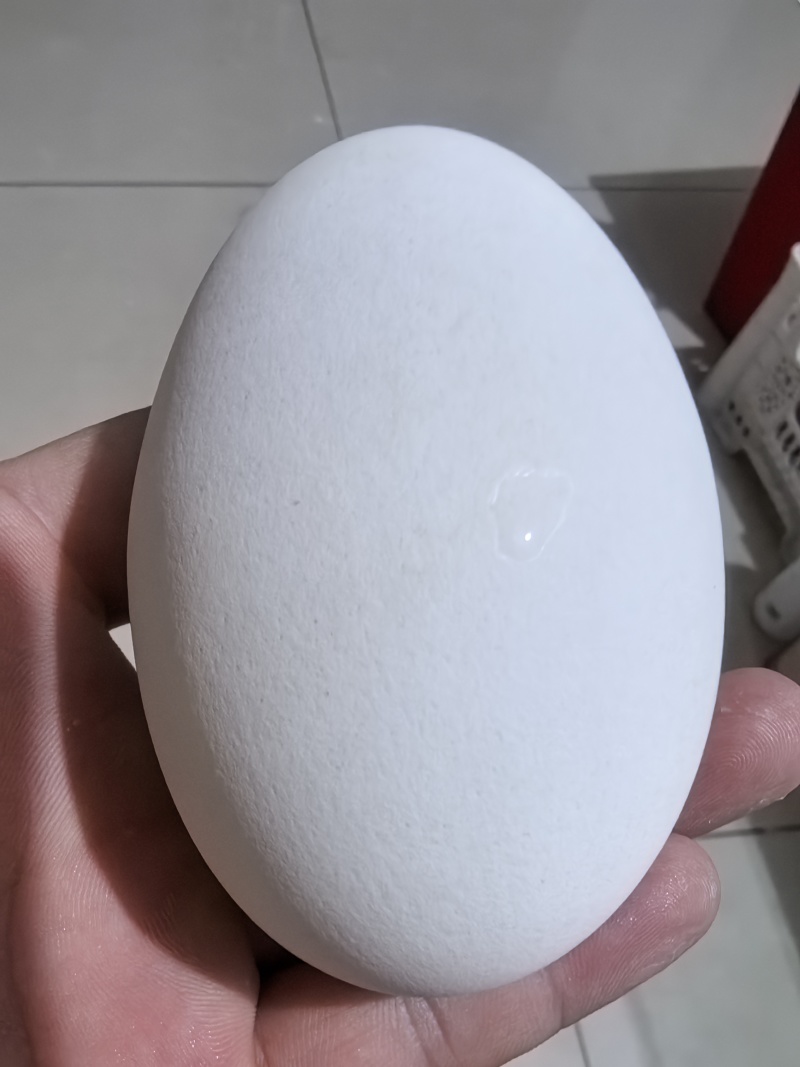 大量鹅蛋