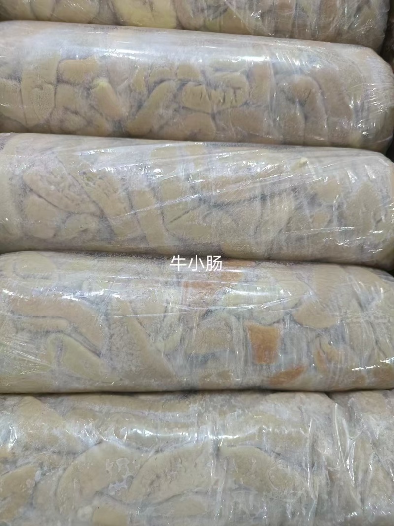 牛小肠圆肠