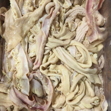 牛小肠圆肠