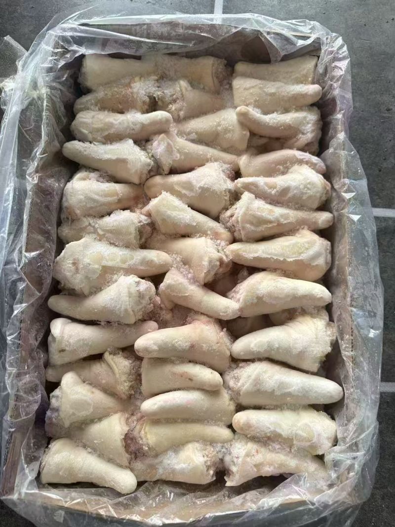 一级肥猪短尾巴，当丁尾处理了，临沂4吨