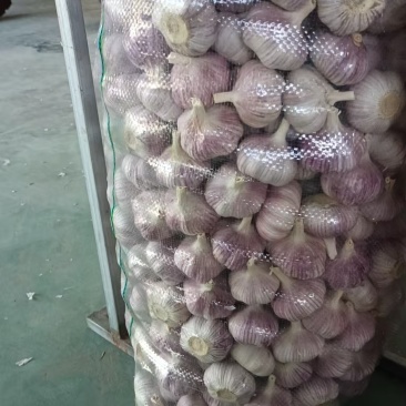 大蒜蒜米蒜片直销