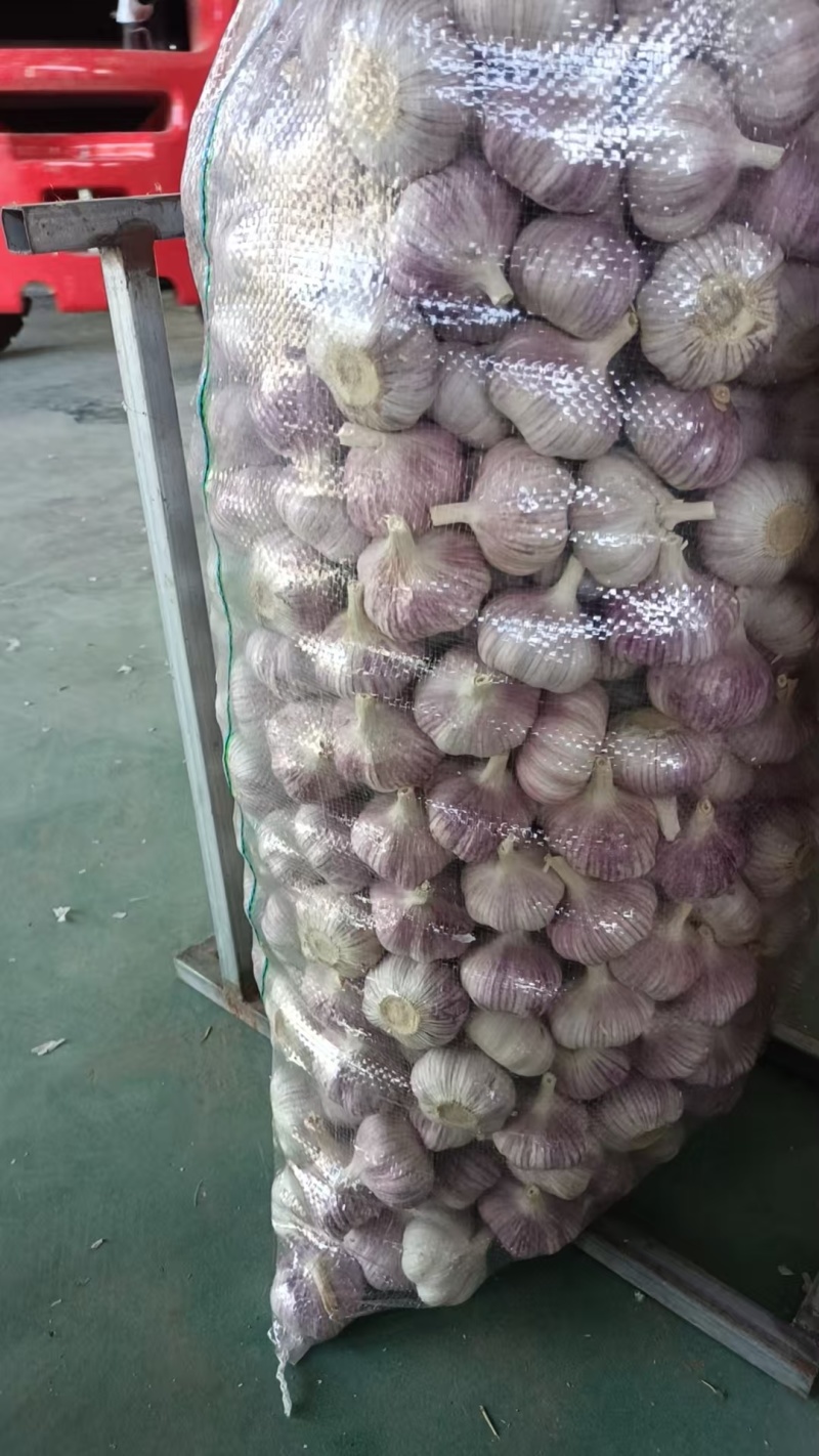 大蒜蒜米蒜片直销