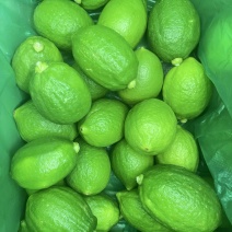 一级果二级果