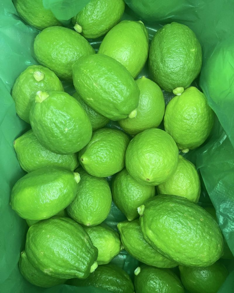 一级果二级果
