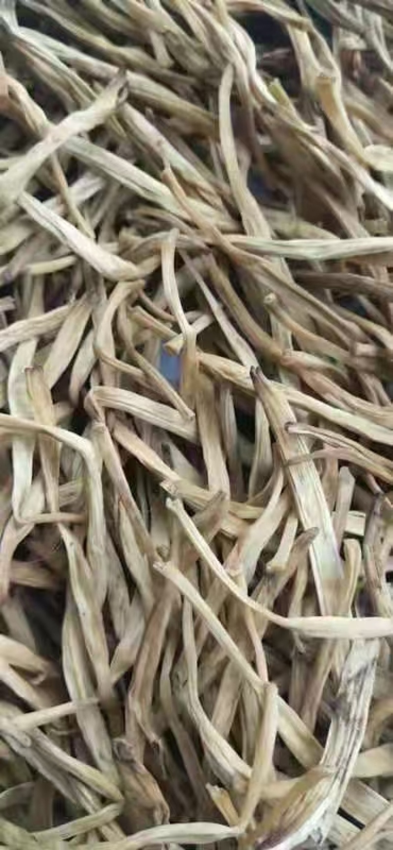 黄花菜