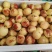 冬枣