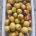 陕西大荔冬枣