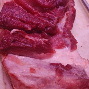 鲜肉