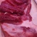 鲜肉