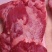 鲜肉