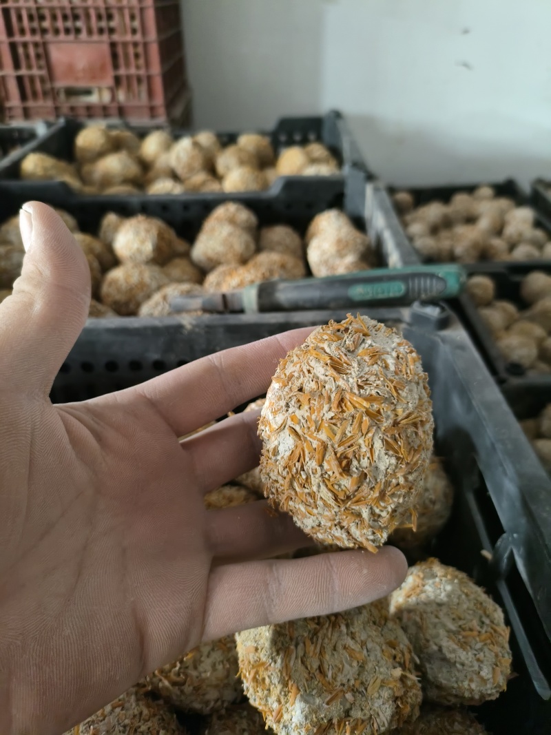 四川黄金松花皮蛋