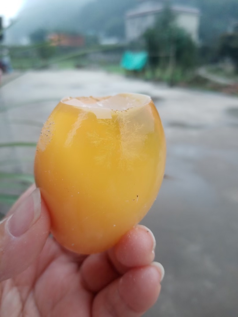 四川黄金松花皮蛋
