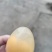 四川黄金松花皮蛋