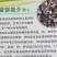 种植底肥