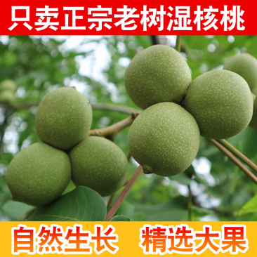 云南新鲜青皮核桃，可以代发