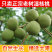 云南新鲜青皮核桃，可以代发