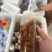 各品种金蝉知了猴批发一件代发
