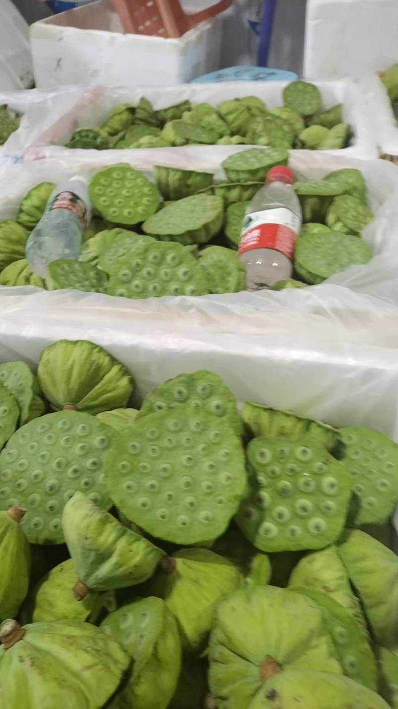 莲蓬