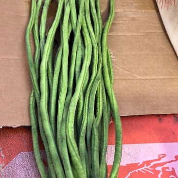 豆角（缸豆）
