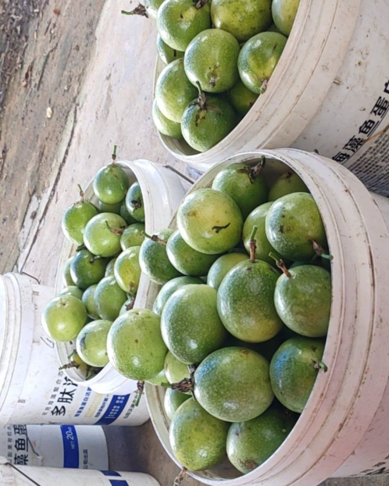 百香果