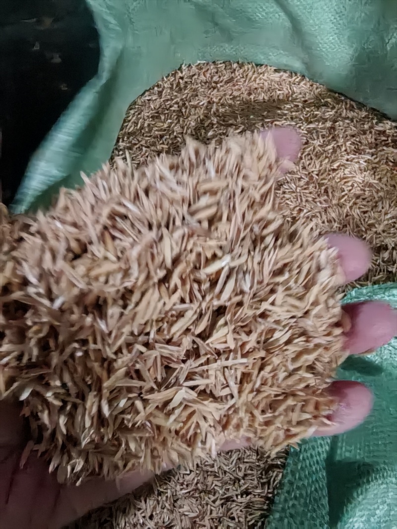 袋装打包稻壳