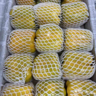 黄椒