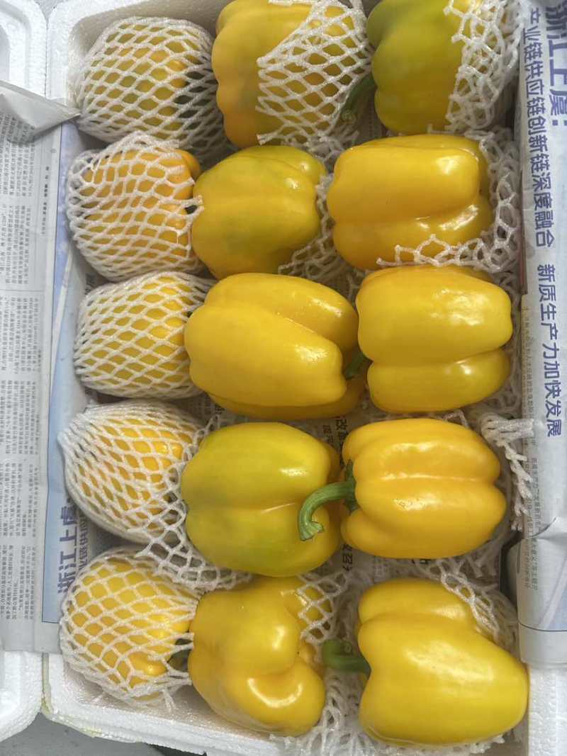 黄椒