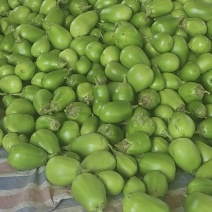 青茄