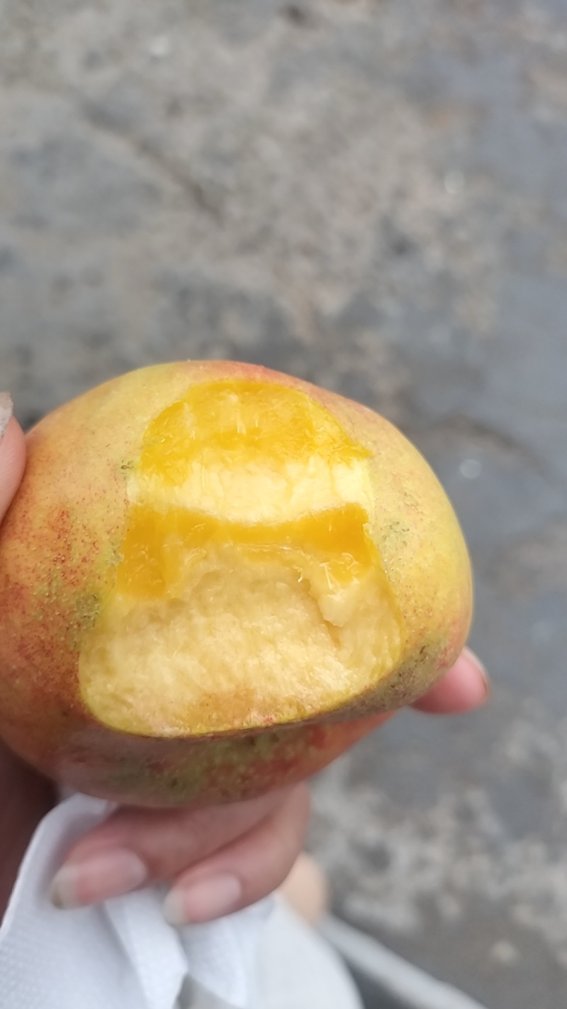 油蟠桃