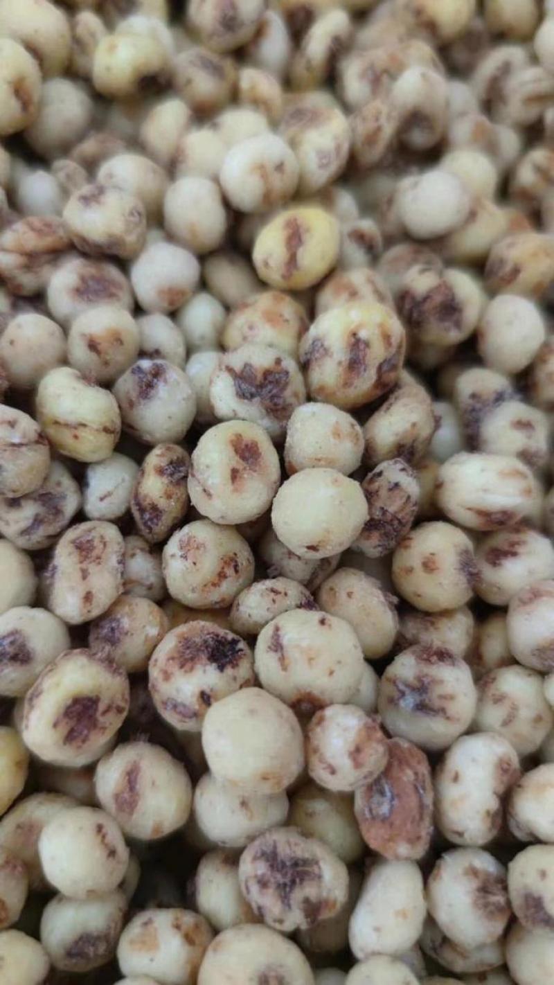 新疆大颗粒油莎豆***********