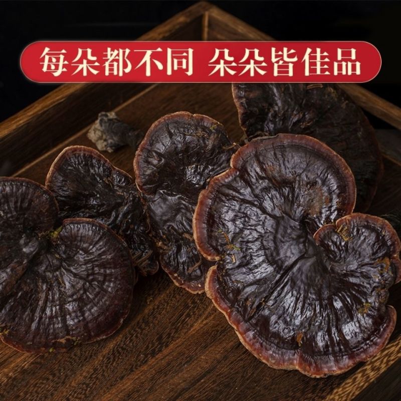 西藏野生紫灵芝泡酒纯野生整枝黑灵芝可切片打粉整朵整株