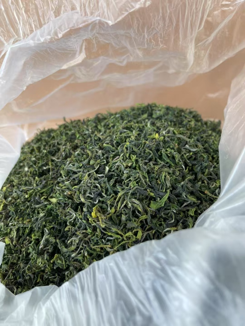 纯正绿茶日照绿茶2025