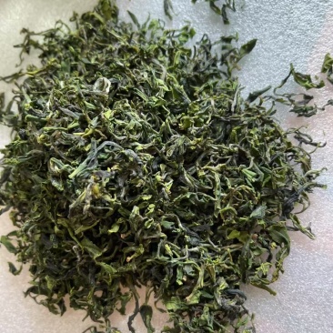 纯正绿茶日照绿茶2025