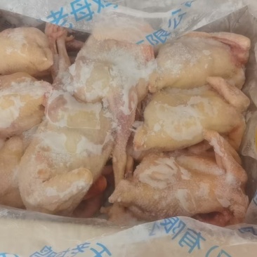 无抗白条老母鸡，精检，净膛，免洗，毛净99%。大厂出品，现货