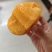 河北保定原产地鲜桃黄蟠桃.黄桃油桃九保等等