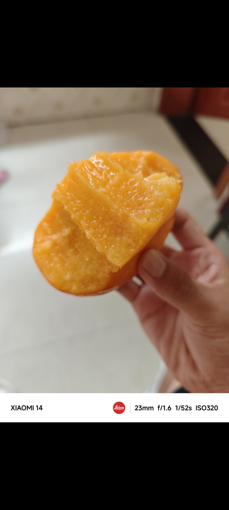河北保定原产地鲜桃黄蟠桃.黄桃油桃九保等等